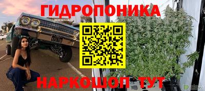 прущая мука Боровичи