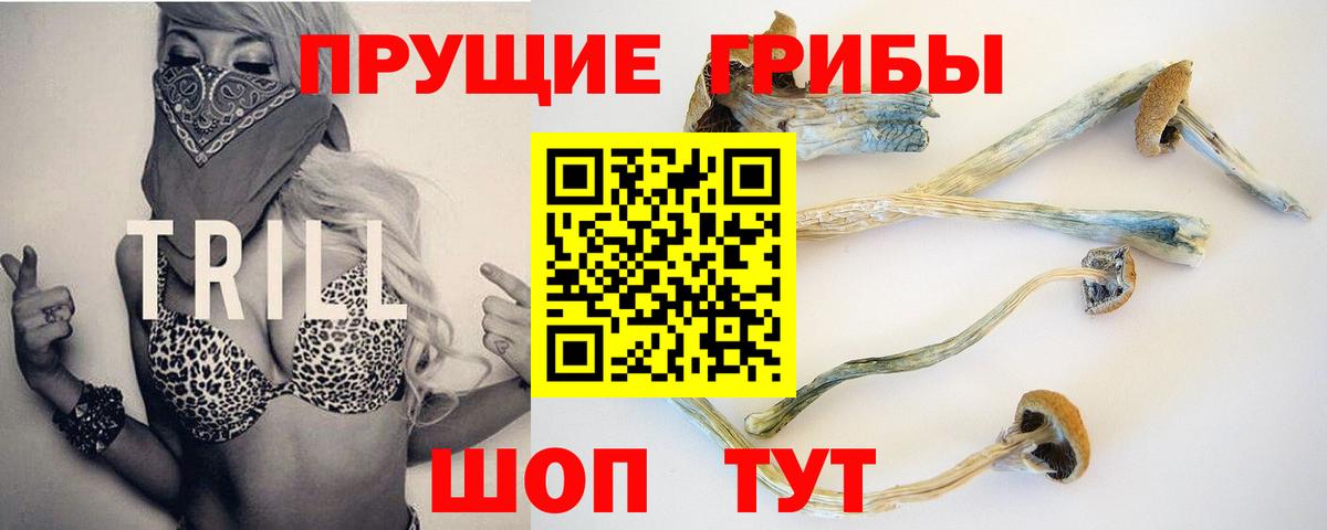 что такое   Псилоцибиновые грибы Magic Shrooms  Вход с VPN  Коломна 
